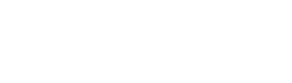 Shopify Partner